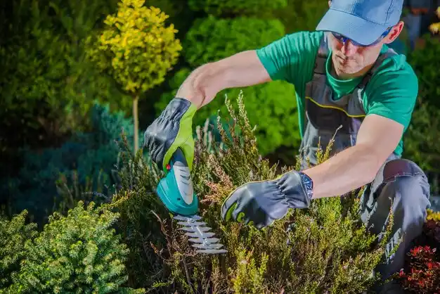 landscaping services Gwinn